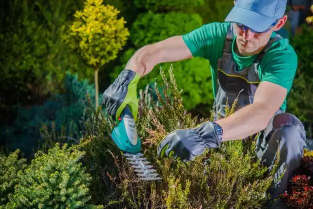 landscaping services Amherst